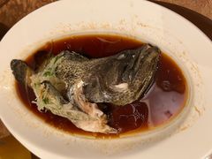 青蒸游水老虎斑-喜来登由由大酒店九州膳坊中餐厅