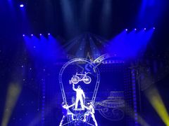 -珠海横琴长隆《卡卡虎奇遇记》