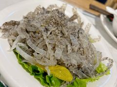 凉拌鱼皮-广顺鑫猪肚鸡(经八路店)