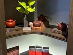 -王德传茶庄(上海新天地店)