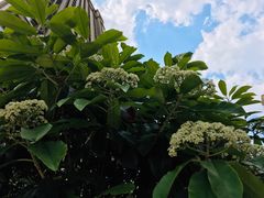 -龙洞风景区-藏龙涧