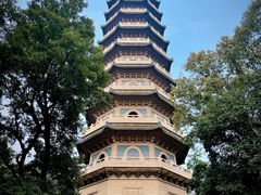 -灵谷景区