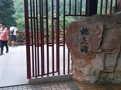门面-桃花涧