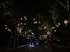 -东湖景区