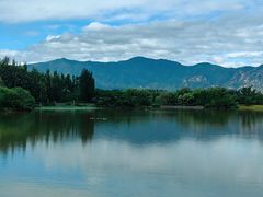 -翠湖国家城市湿地公园