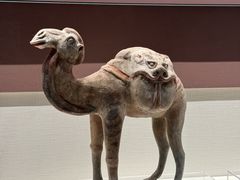 -隋唐大运河文化博物馆