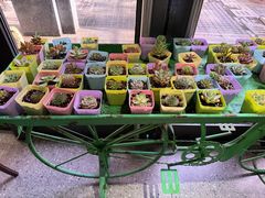 -墨纪Mojí墨西哥餐厅(官舍店)