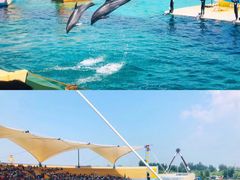 -秦皇岛乐岛海洋王国