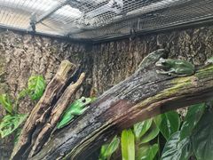 -广州长隆飞鸟乐园
