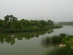 -尚贤河湿地