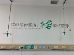 -五洲妇儿医院
