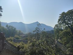 -潭柘寺景区