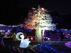 -观澜湖旅游度假区