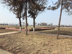 -汉长安城未央宫国家考古遗址公园