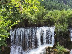 -九寨沟-树正沟