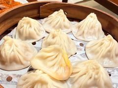 -莱莱小笼·乔艾