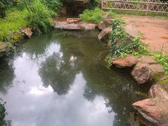 -昆明市金殿名胜区