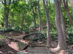 -上海佘山国家森林公园天马山园