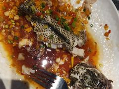 -佳兰雅序融合菜(高新店)