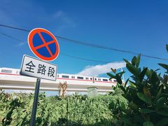 -低涌(地铁站)