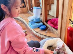 -猫小院猫主题餐厅(南锣旗舰店)