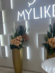 -深圳美莱医疗美容医院