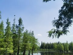 -白鹭湾湿地公园