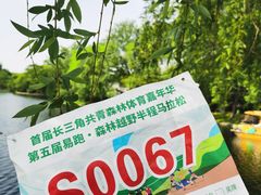 -上海共青森林公园