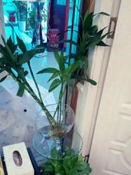 -芳朵美容养生SPA