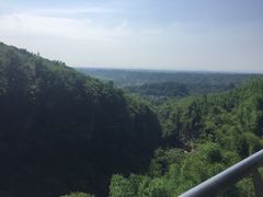 -川西竹海景区