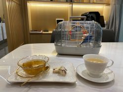 -香港倾城国际·美容美体中心
