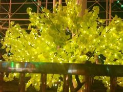 android_upload_pic-圣都乐园