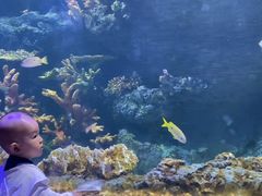 -华夏文旅海洋公园