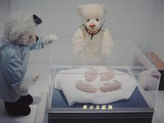 -成都泰迪熊博物馆