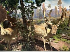 -陕西自然博物馆