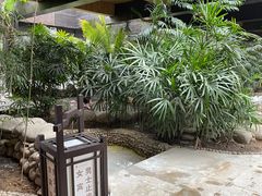 -三江森林温泉度假区