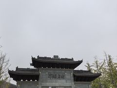 -洋湖国家湿地公园
