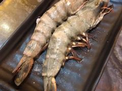 -熊出没日本烧肉放题