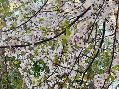 -西安电影制片厂