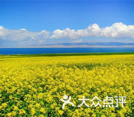 索菲亚薰衣草花海影视基地图片 - 第28张