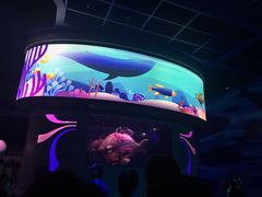 -海底巡游艇:尼莫和好友的海洋世界