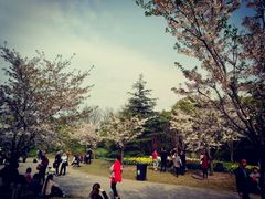 -上海植物园-4号门售票处