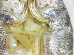 -原味蒸汽海鲜(嵊泗店)