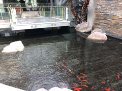 -和园景逸大酒店朗月汤泉
