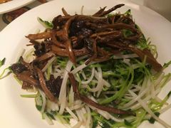 w山珍翡翠苗-新大咀港式茶餐厅(宝山万达店)