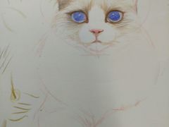 -八哥美术·成人美术画室(总校区)
