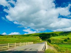 -塞罕坝国家级自然保护区