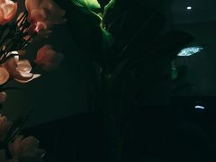 -富侨养生(康乾店)