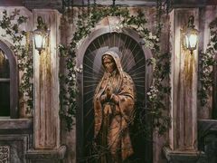 -屋有岛沉浸游戏旗舰店(中山公园店)