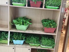 -东椰·海南椰子鸡火锅(朝阳门店)